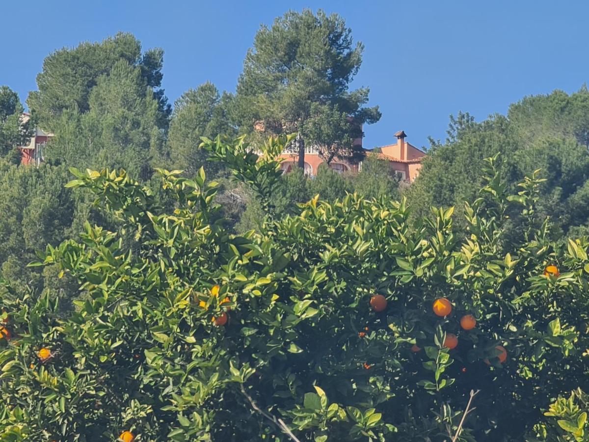 Chateau Angelique Villa Montroy Exterior foto